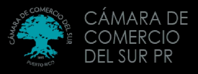 Cámara de comercio del sur